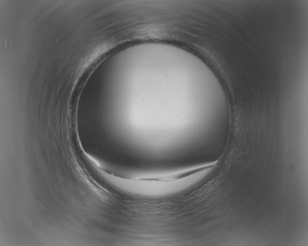 X0000076450439200611031935