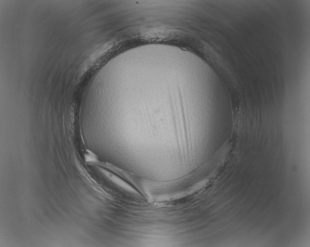 X0000076450448200611031935