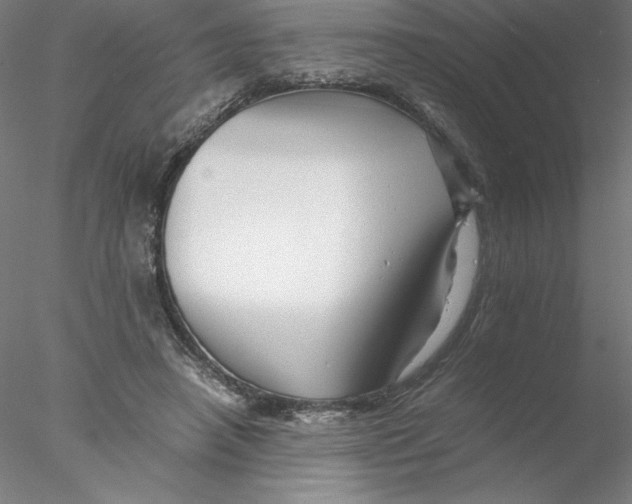 X0000076450450200611031935