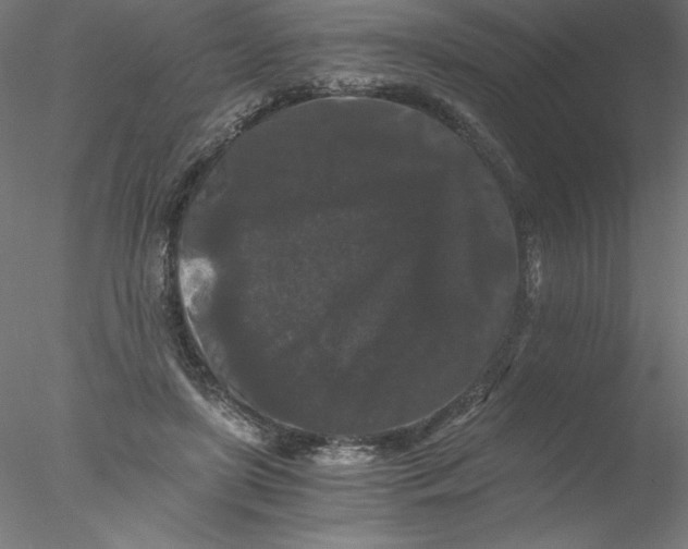 X0000076450451200611031935