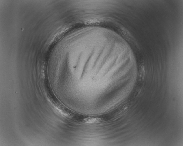 X0000076450452200611031935