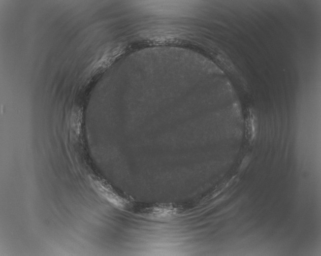 X0000076450458200611031936