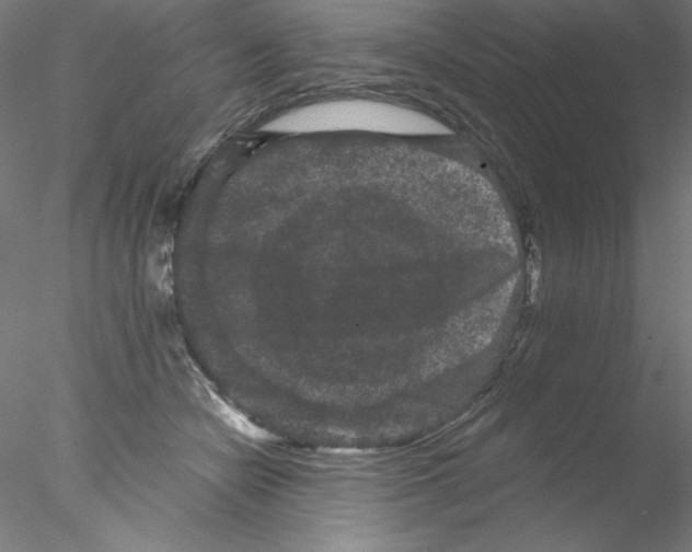 X0000076450462200611031936