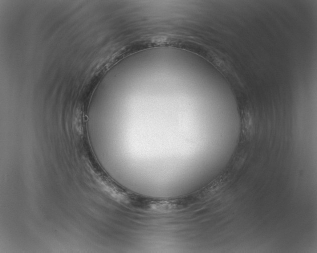 X0000076450470200611031936