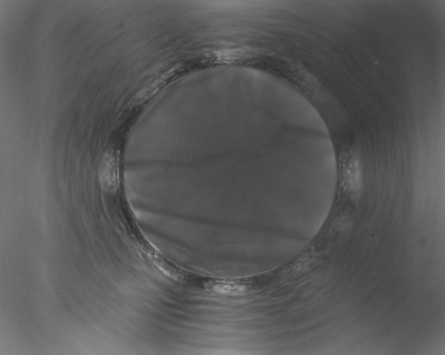X0000076450471200611031936