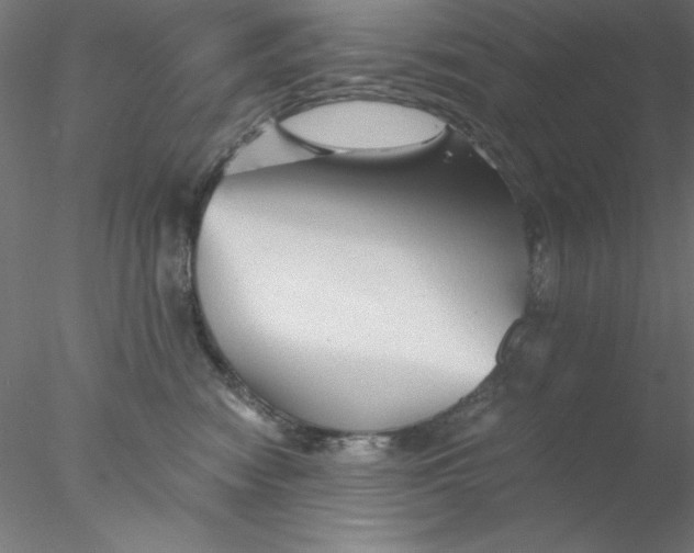 X0000076450474200611031936