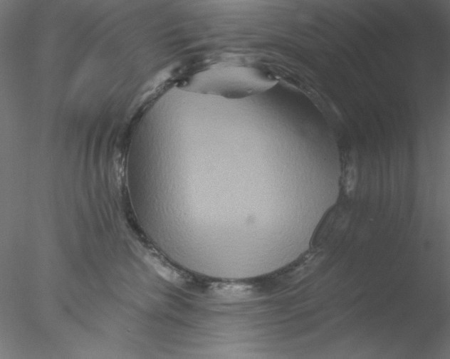 X0000076450476200611031936