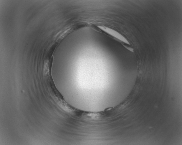 X0000076450478200611031936