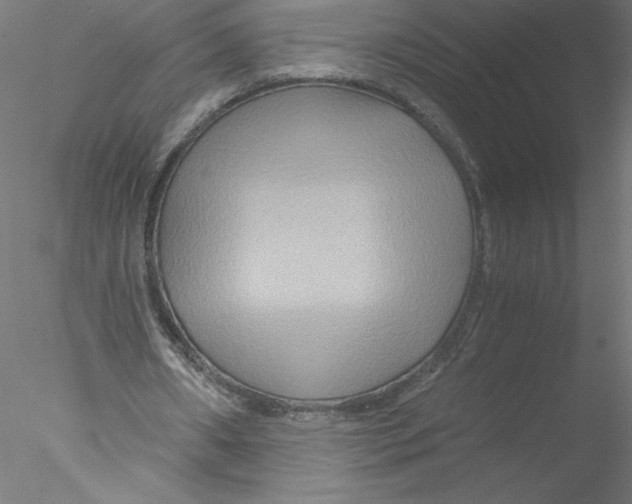X0000076450482200611031935