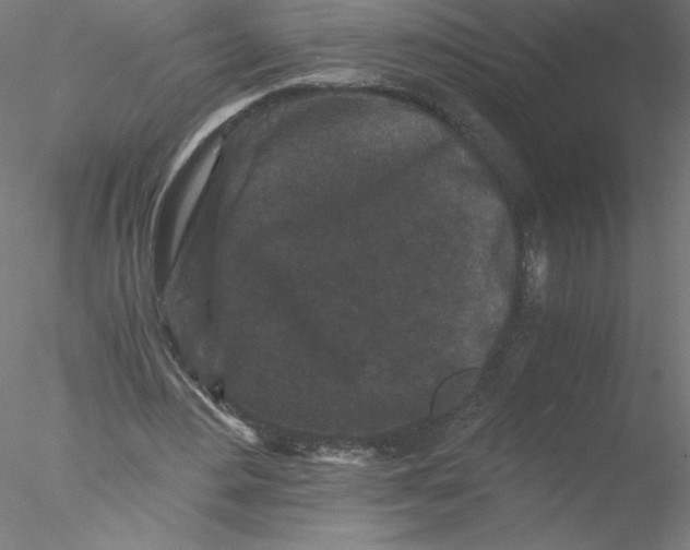 X0000076450484200611031935