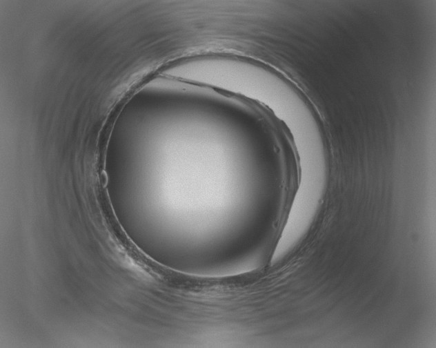 X0000076450485200611031935