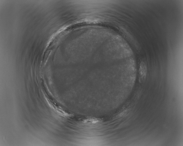 X0000076450492200611031935