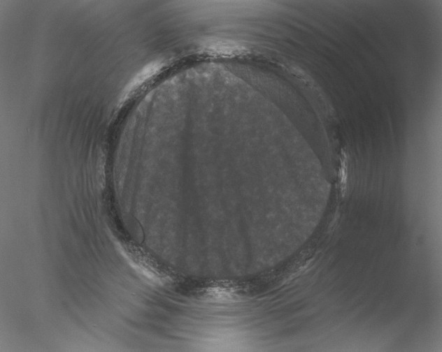 X0000076450496200611031935