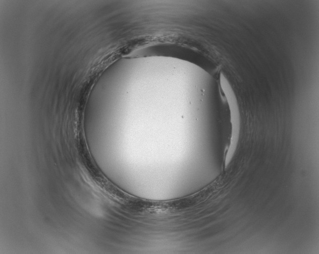 X0000076450498200611031935