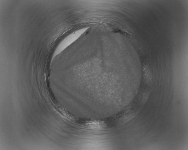 X0000076450499200611031935