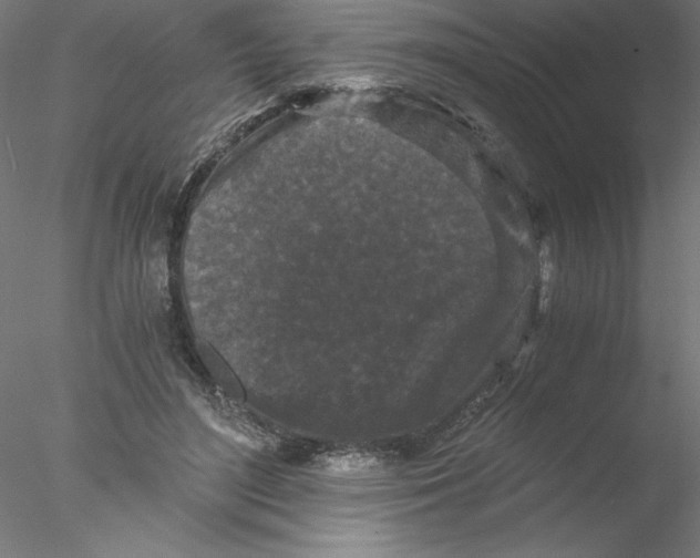 X0000076450500200611031935