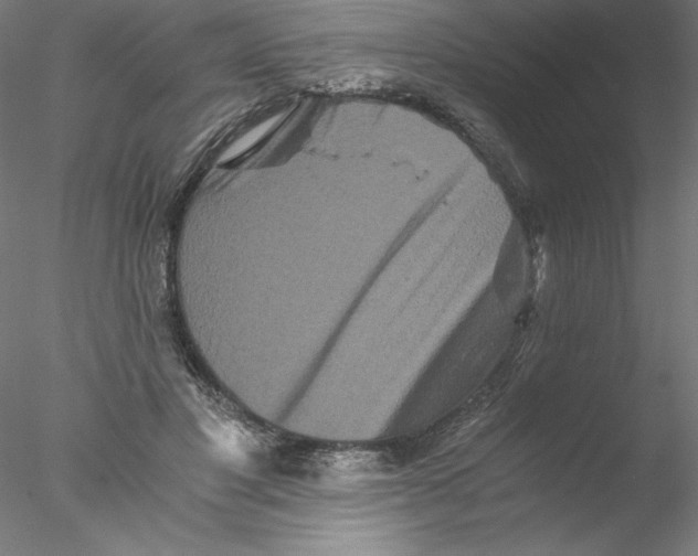 X0000076450501200611031935
