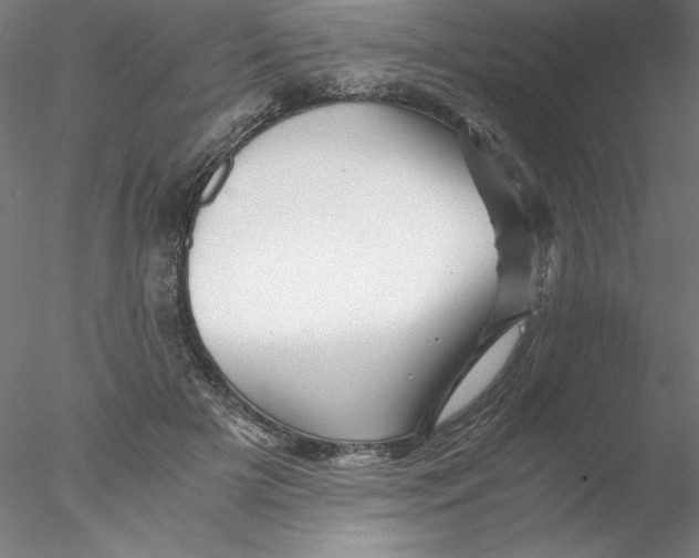 X0000076450505200611031935