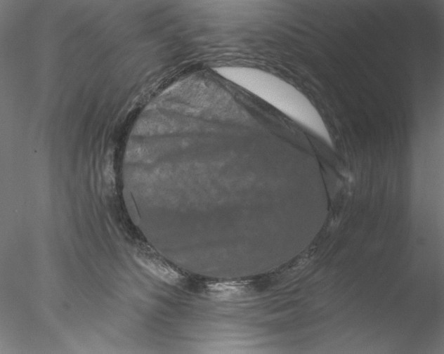 X0000076450516200611031935