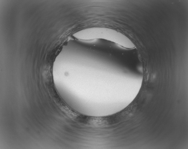 X0000076450521200611031934