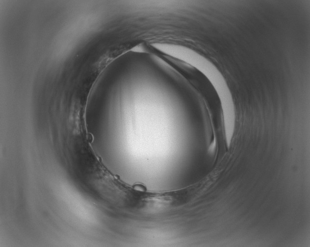 X0000076450525200611031934