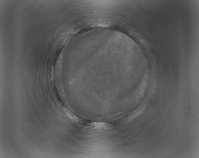 X0000076450528200611031934