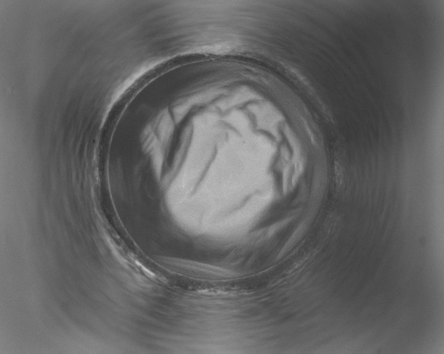 X0000076450532200611031934