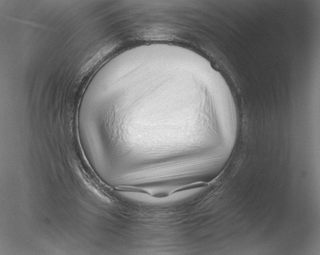 X0000076450533200611031934