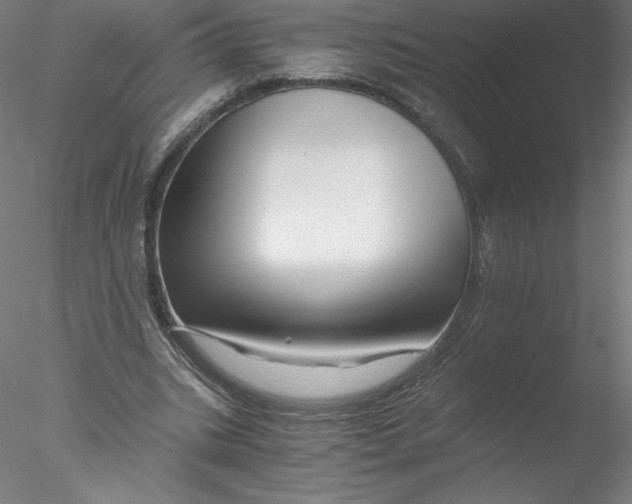 X0000076450535200611031934