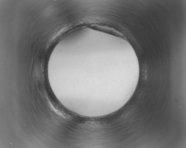 X0000076450538200611031934