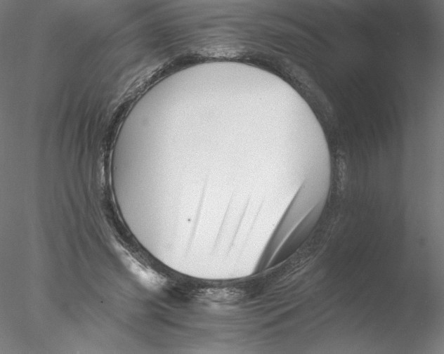 X0000076450541200611031934
