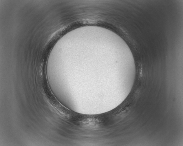 X0000076450543200611031934