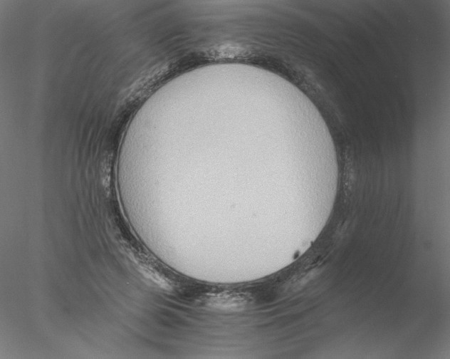 X0000076450545200611031934