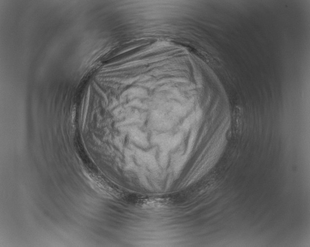 X0000076450550200611031934