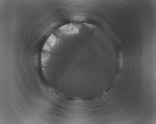 X0000076450551200611031934