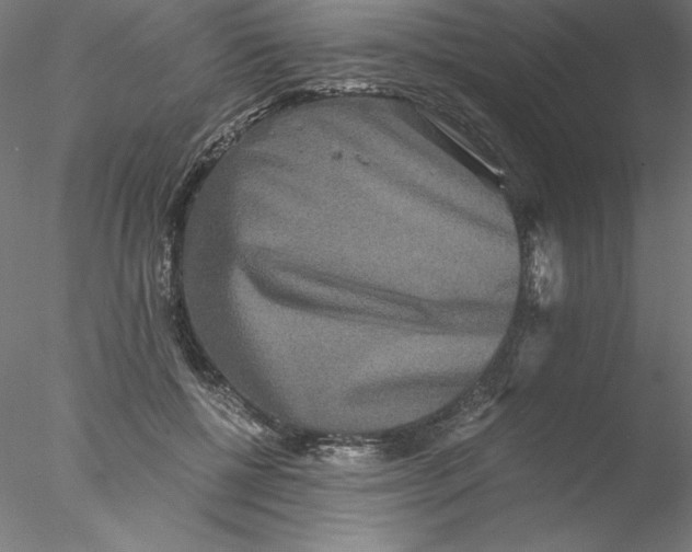 X0000076450552200611031934