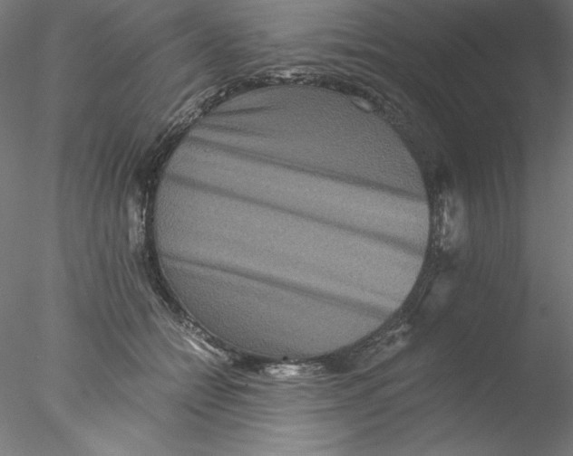 X0000076450558200611031934