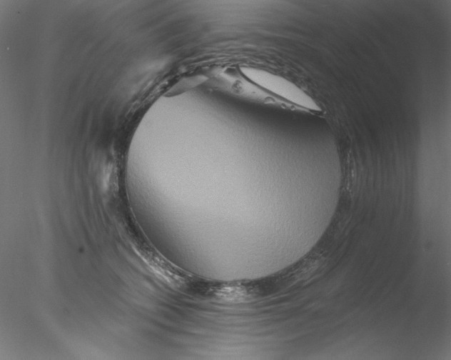 X0000076450562200611031934