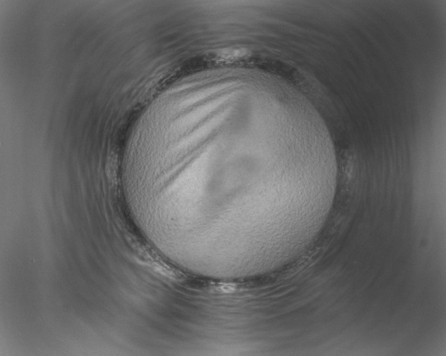 X0000076450565200611031934
