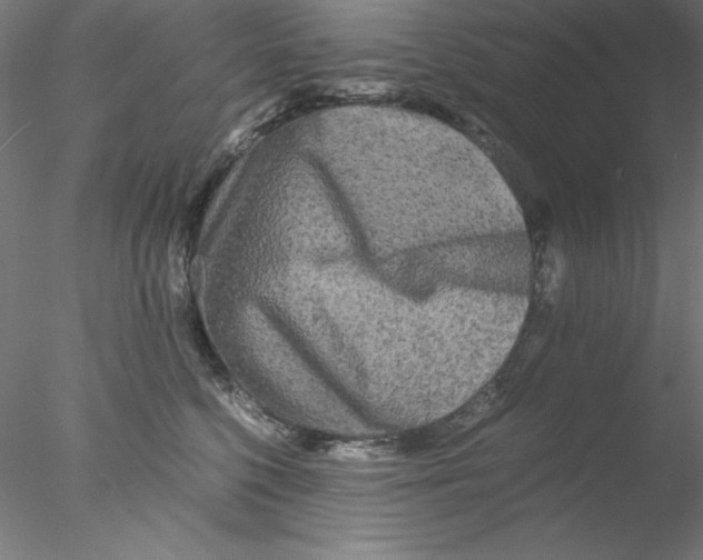 X0000076450568200611031934