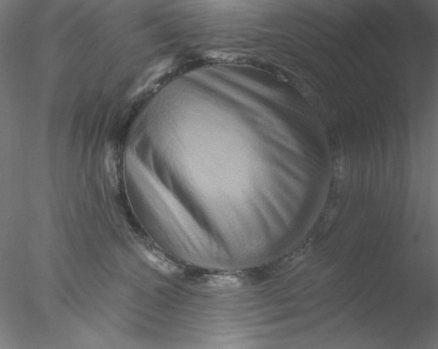 X0000076450572200611031934
