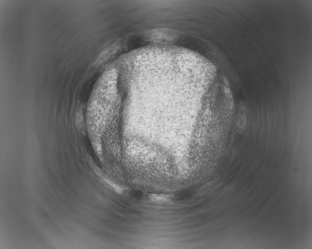 X0000076450573200611031934