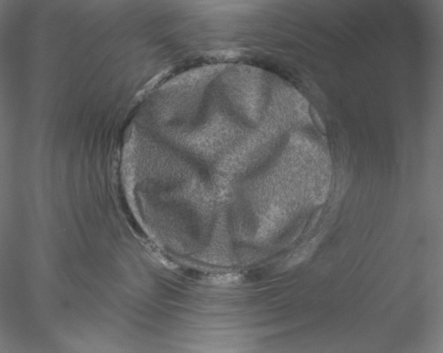 X0000076450576200611031934