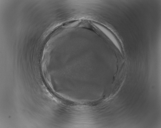 X0000076450577200611031934