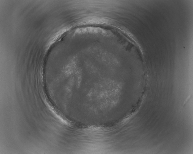X0000076450581200611031933