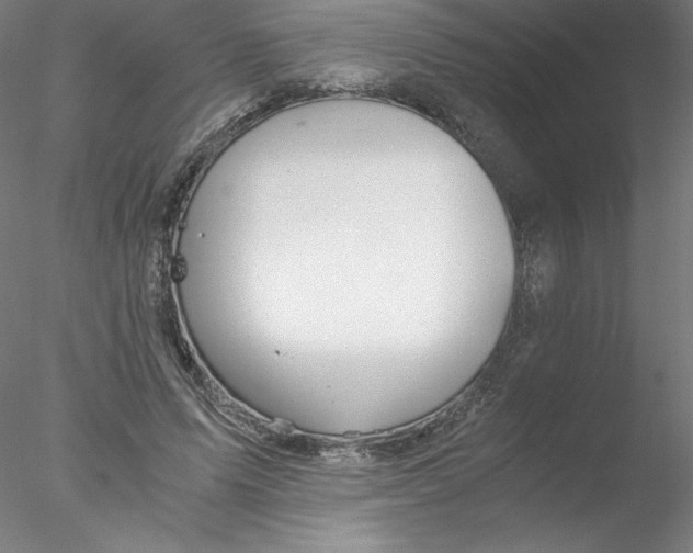 X0000076450591200611031933