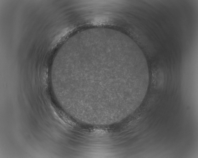 X0000076450592200611031933