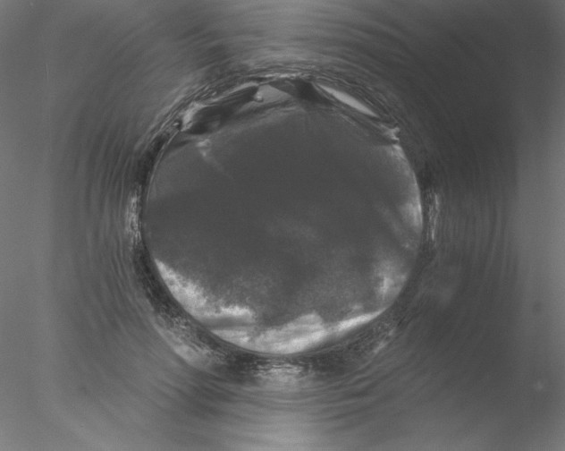 X0000076450598200611031933