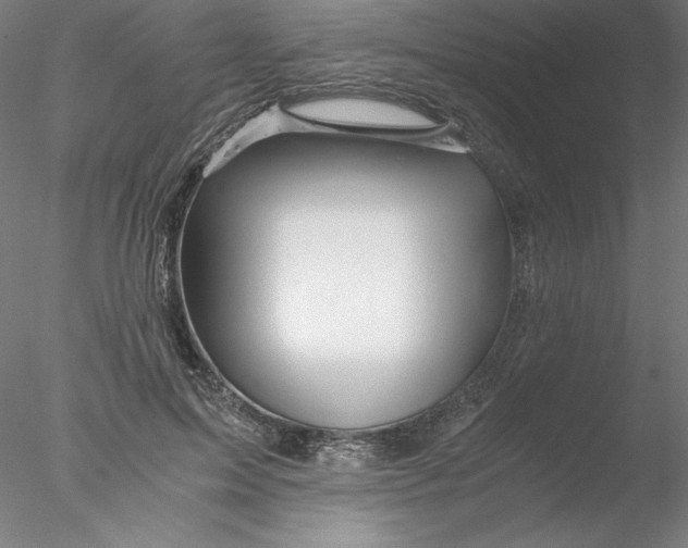 X0000076450599200611031933