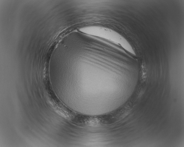 X0000076450600200611031933